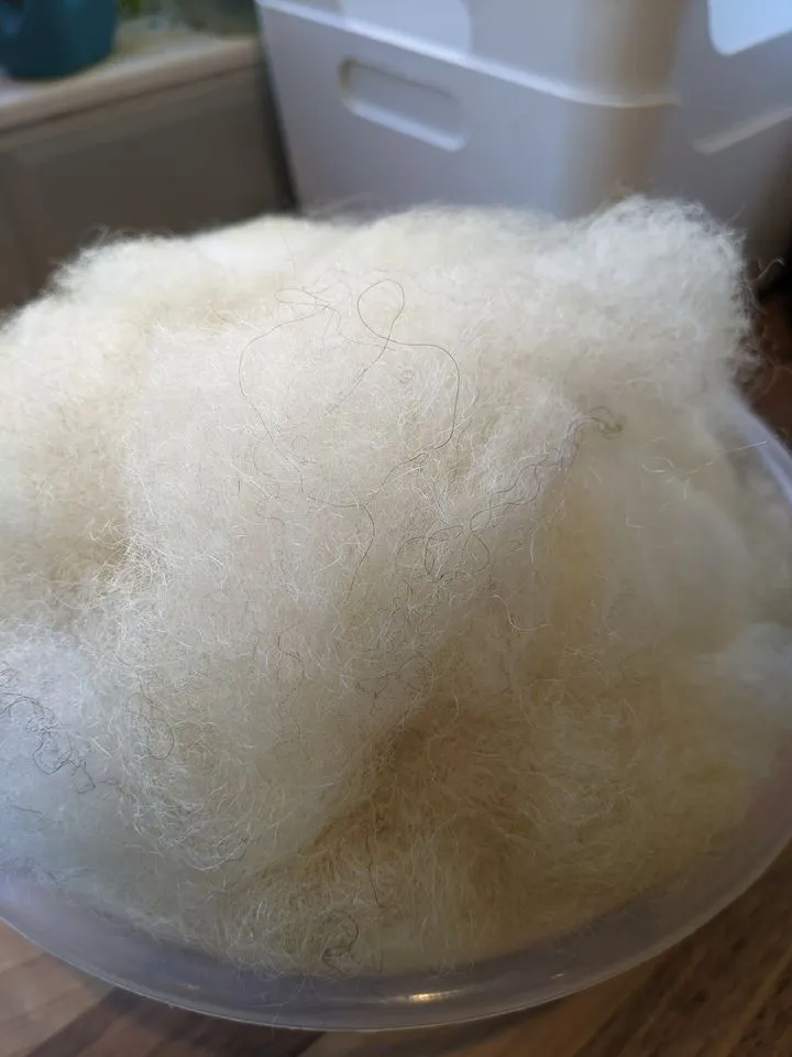 Valais Blacknose prepared fibre