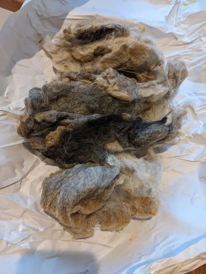 Torddu raw fleece