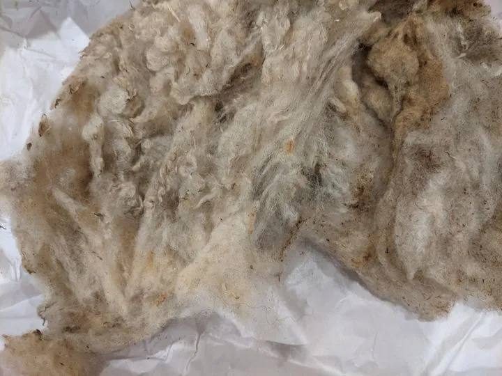 Lonk raw fleece